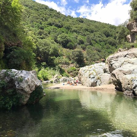 Ferula Romantica Mansarda Tra Fiumi E Montagne Sardegna Villa Seùlo Exterior foto