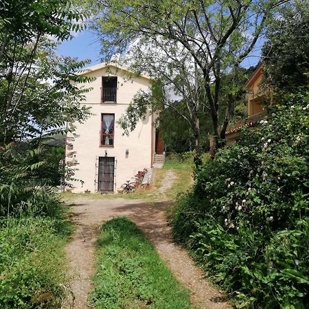 Ferula Romantica Mansarda Tra Fiumi E Montagne Sardegna Villa Seùlo Exterior foto