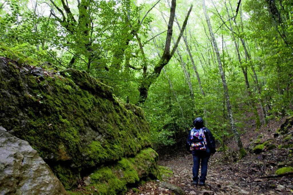 Ferula Romantica Mansarda Tra Fiumi E Montagne Sardegna Villa Seùlo Exterior foto