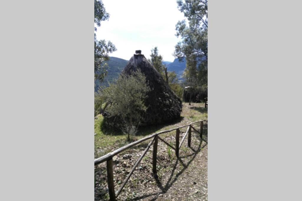 Ferula Romantica Mansarda Tra Fiumi E Montagne Sardegna Villa Seùlo Exterior foto