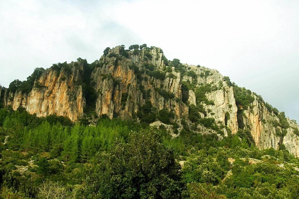 Ferula Romantica Mansarda Tra Fiumi E Montagne Sardegna Villa Seùlo Exterior foto