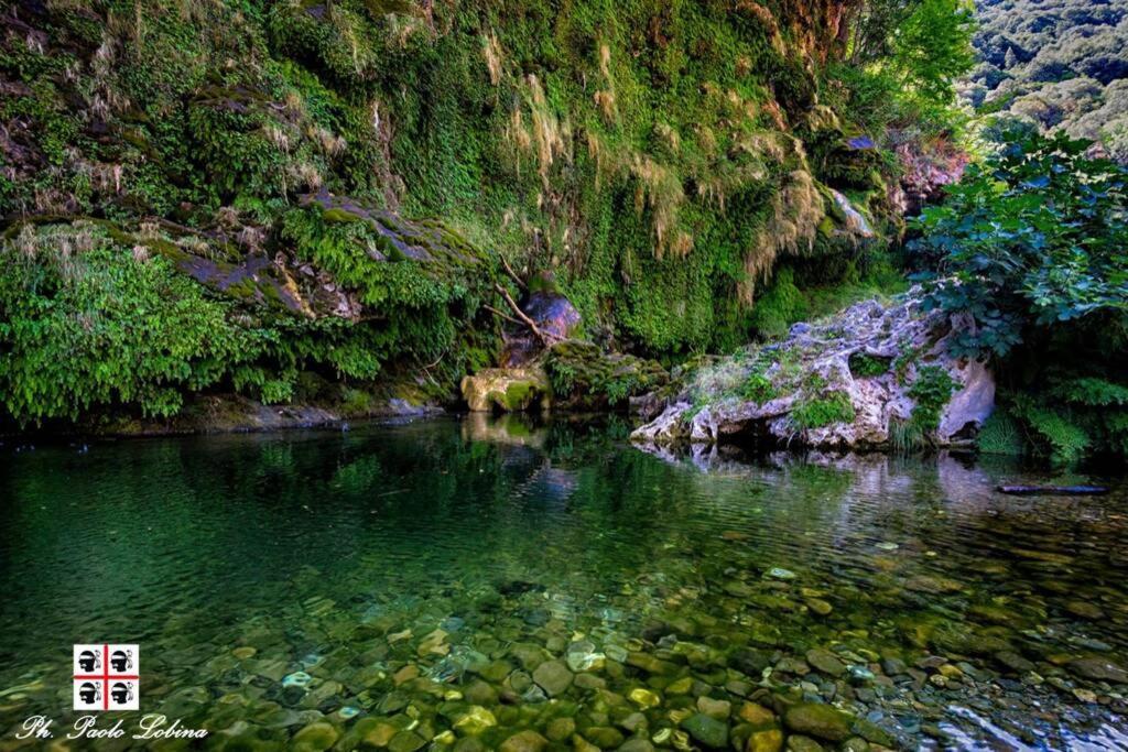 Ferula Romantica Mansarda Tra Fiumi E Montagne Sardegna Villa Seùlo Exterior foto