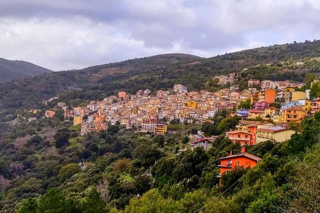 Ferula Romantica Mansarda Tra Fiumi E Montagne Sardegna Villa Seùlo Exterior foto