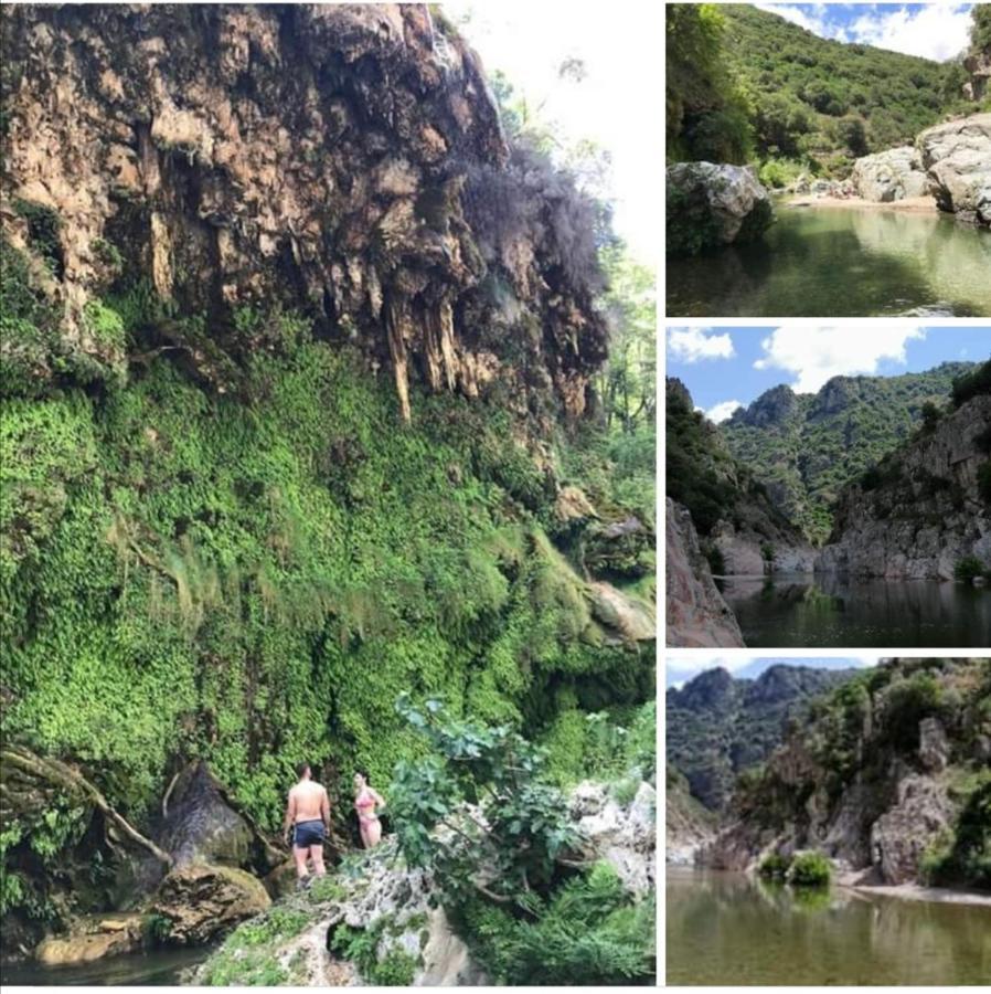 Ferula Romantica Mansarda Tra Fiumi E Montagne Sardegna Villa Seùlo Exterior foto