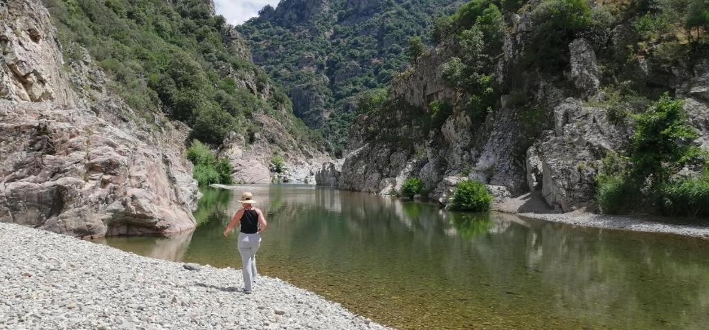 Ferula Romantica Mansarda Tra Fiumi E Montagne Sardegna Villa Seùlo Exterior foto