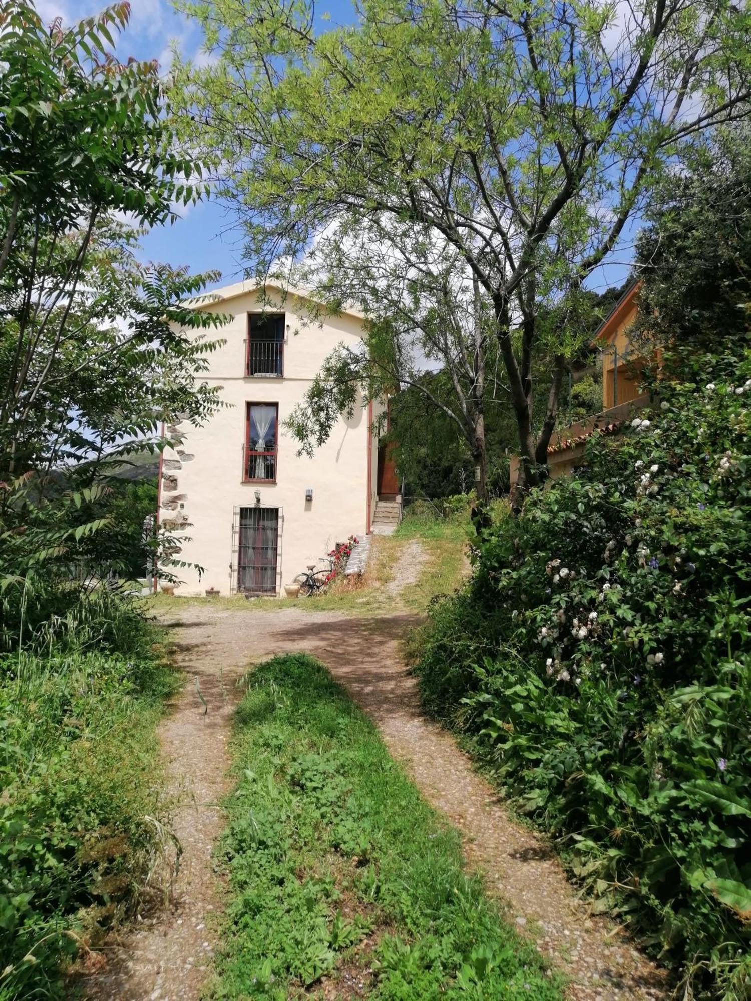 Ferula Romantica Mansarda Tra Fiumi E Montagne Sardegna Villa Seùlo Exterior foto